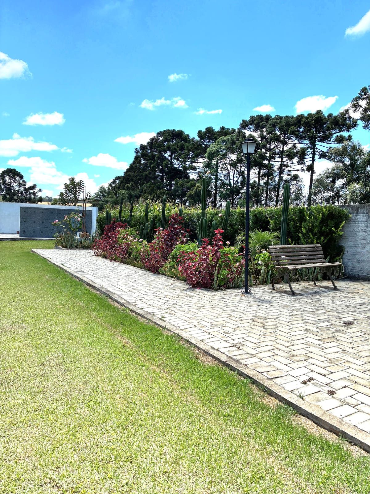Área verde e banco de descanso no Cemitério Anjo Gabriel